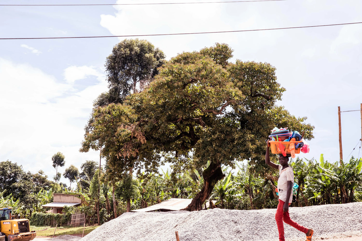 Alltag in einer Kaffeeanbauregion