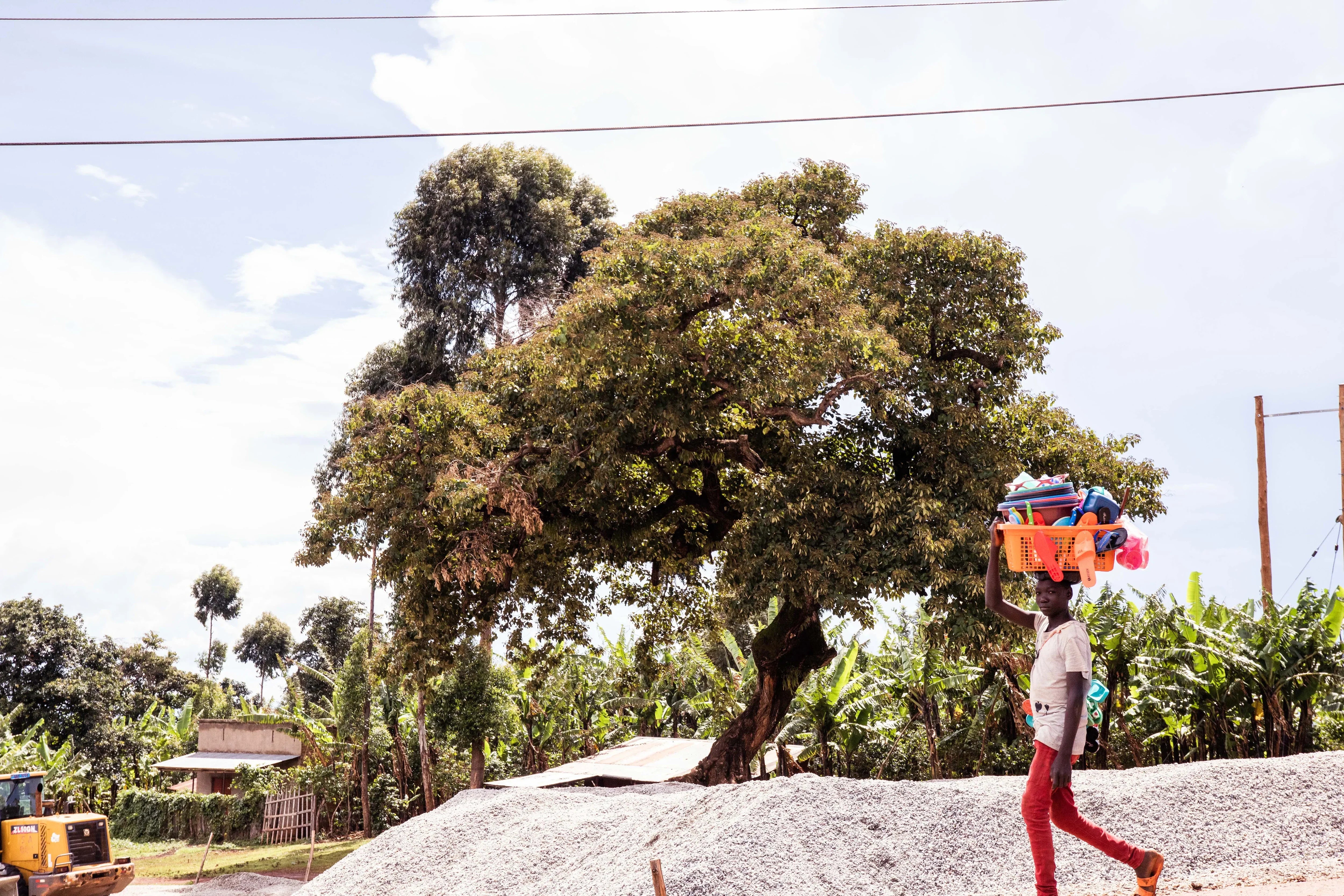 Alltag in einer Kaffeeanbauregion