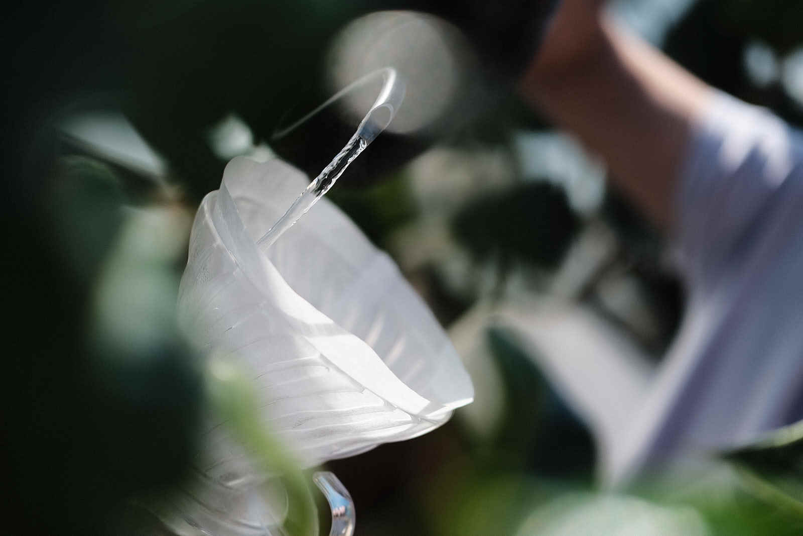 filter hario pour water coffee annan