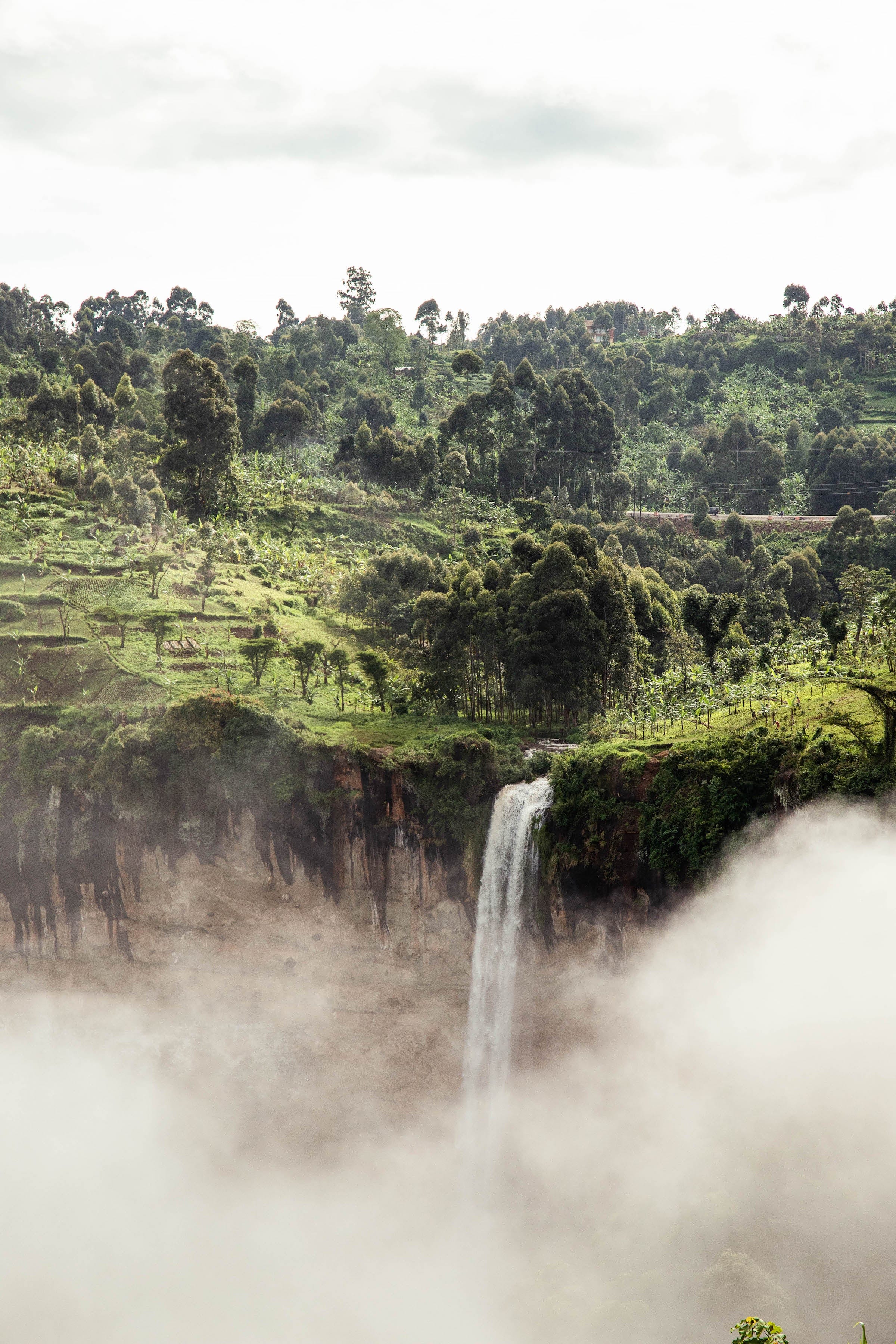 House Blend - Coffee Annan