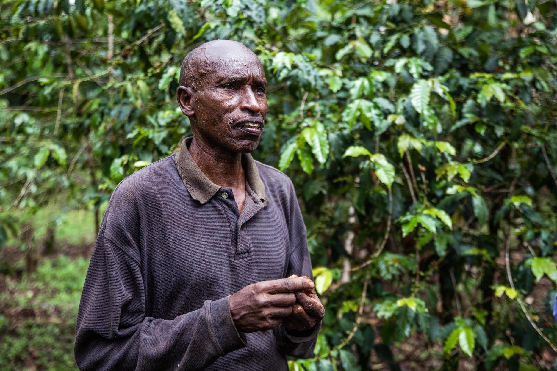 farmer coffee annan